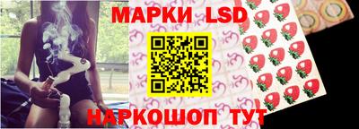 кокс Можга