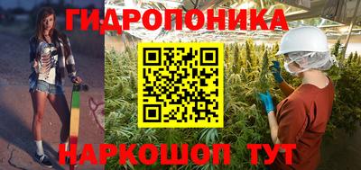 кокс Можга